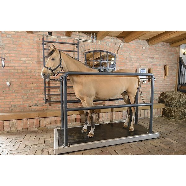 new MD BM VIBRATIONSPLATTE VIBRO 2300 horse breeding equipment